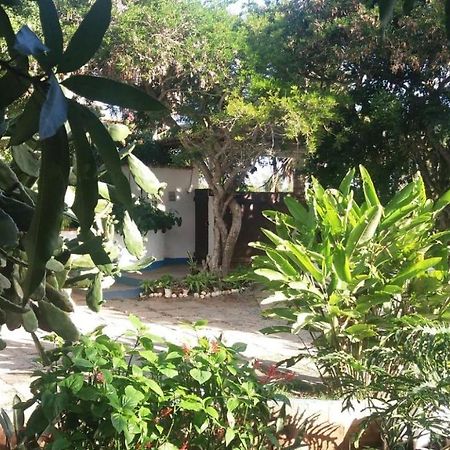 Geribá House Buzios Hotel Exterior foto